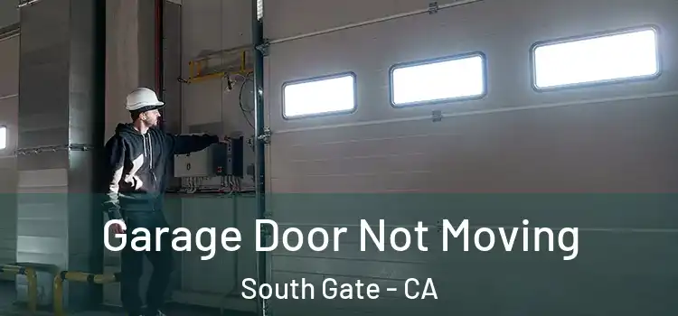  Garage Door Not Moving South Gate - CA