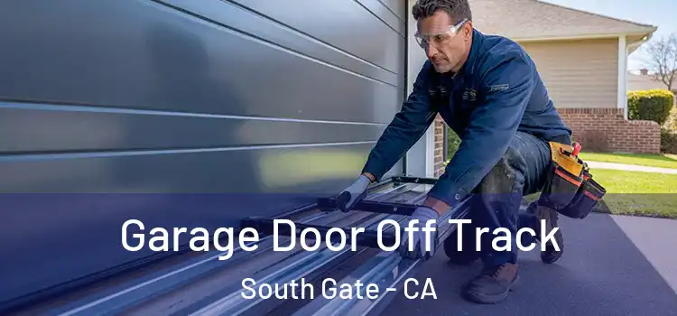  Garage Door Off Track South Gate - CA
