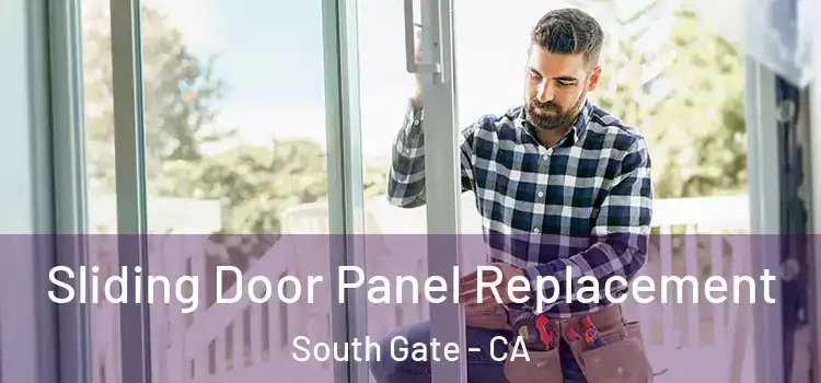  Sliding Door Panel Replacement South Gate - CA